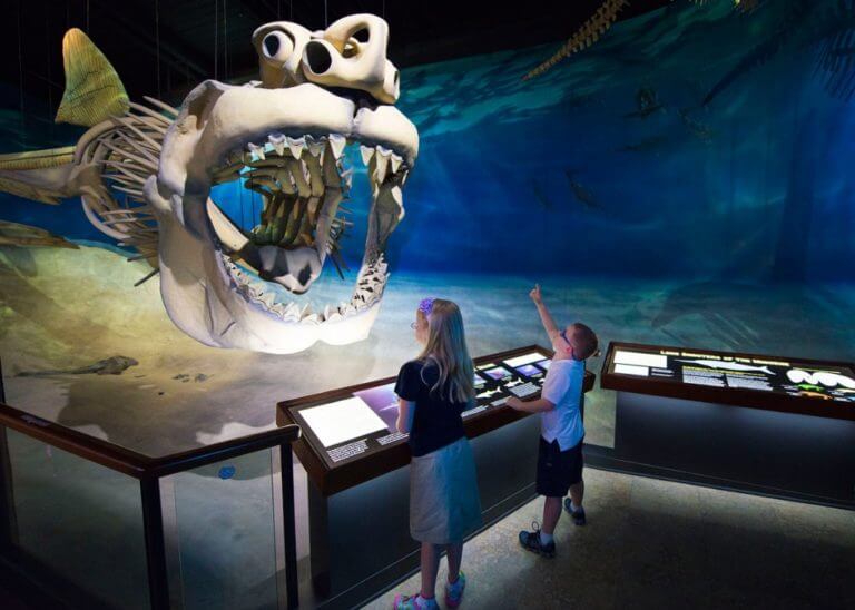 2778 CalvertMarineMuseum 768x548