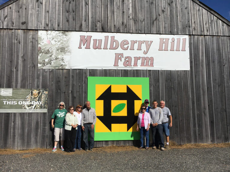 Barn Quilts Square Tobacco Leaf Mulberry Hill Farm 1 WEB 1 768x576