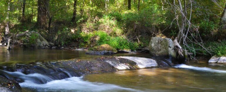 Patuxent River State Park 768x315