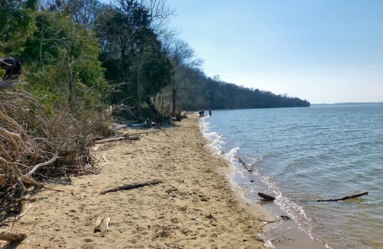 Purse State Park Feb 20 2017 12 018 edit 33094100811 768x500