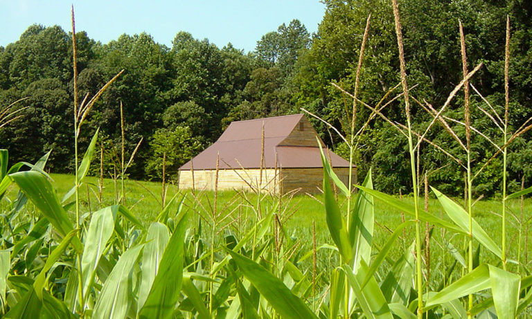 biscoe gray farm 3 768x461