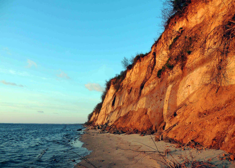 calvert cliffs state park 2 768x548