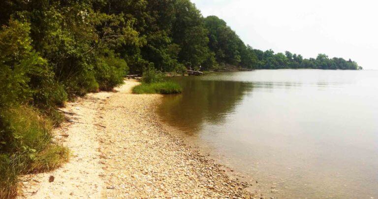 chapelpointsp 768x404