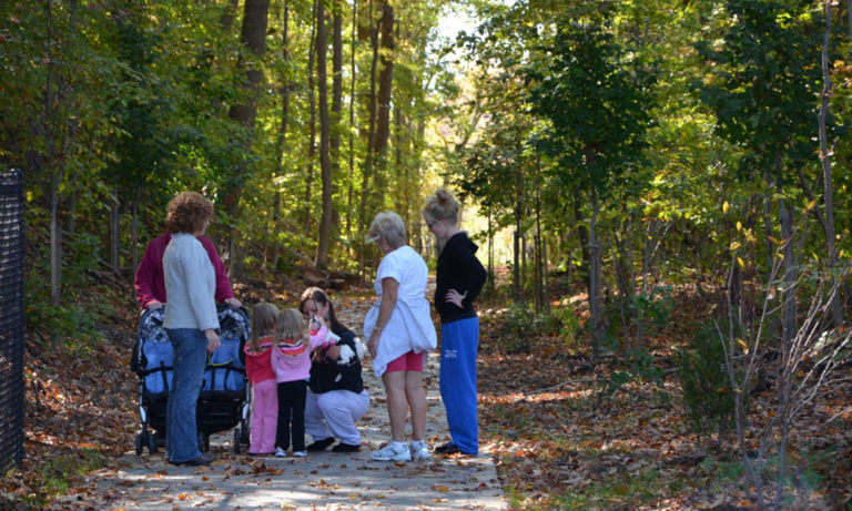 chesapeake beach rail trail crop 3 768x461