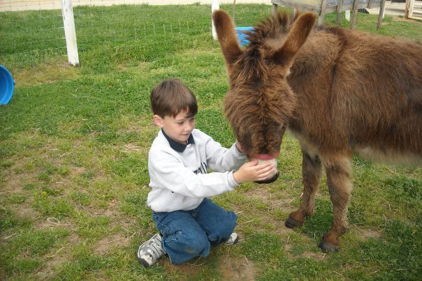 serenity farm 2