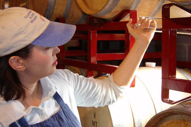 solomons island winery crop 1 3 768x512