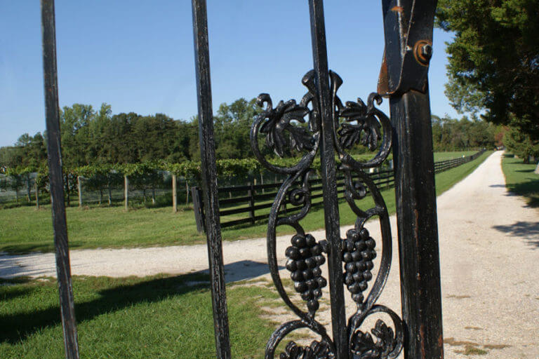 summerseat farm crop web 1 768x512