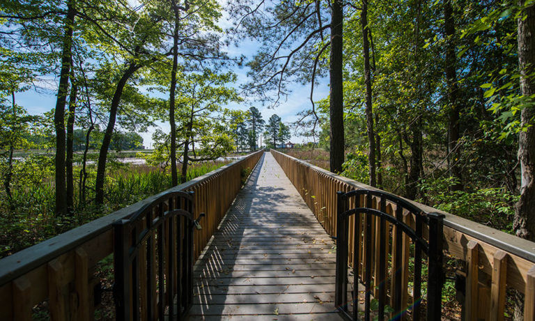 wetlands overlook park crop 1 768x461