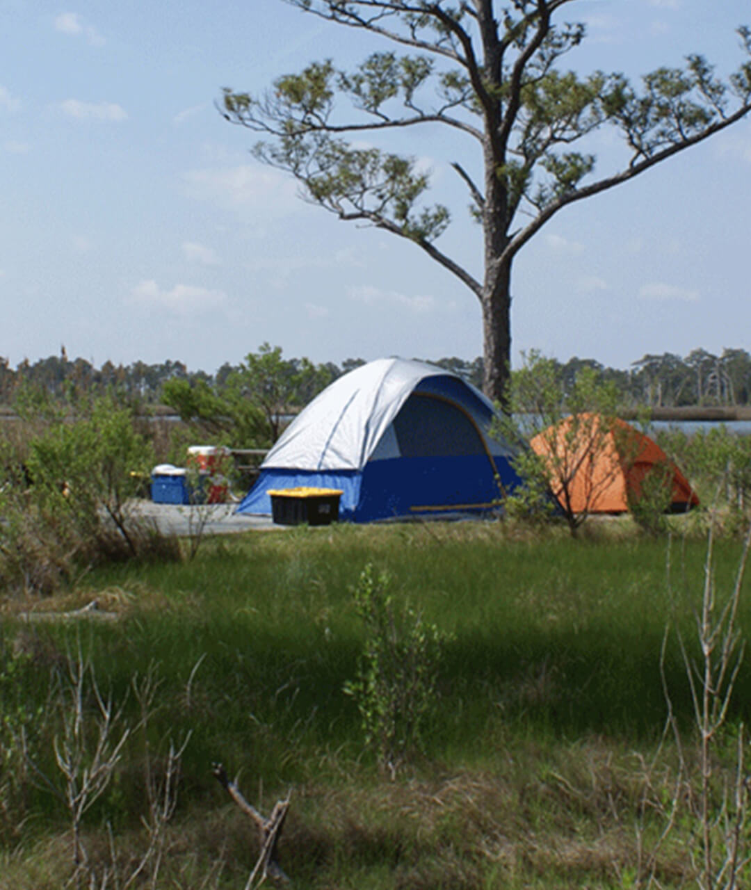 tent outside