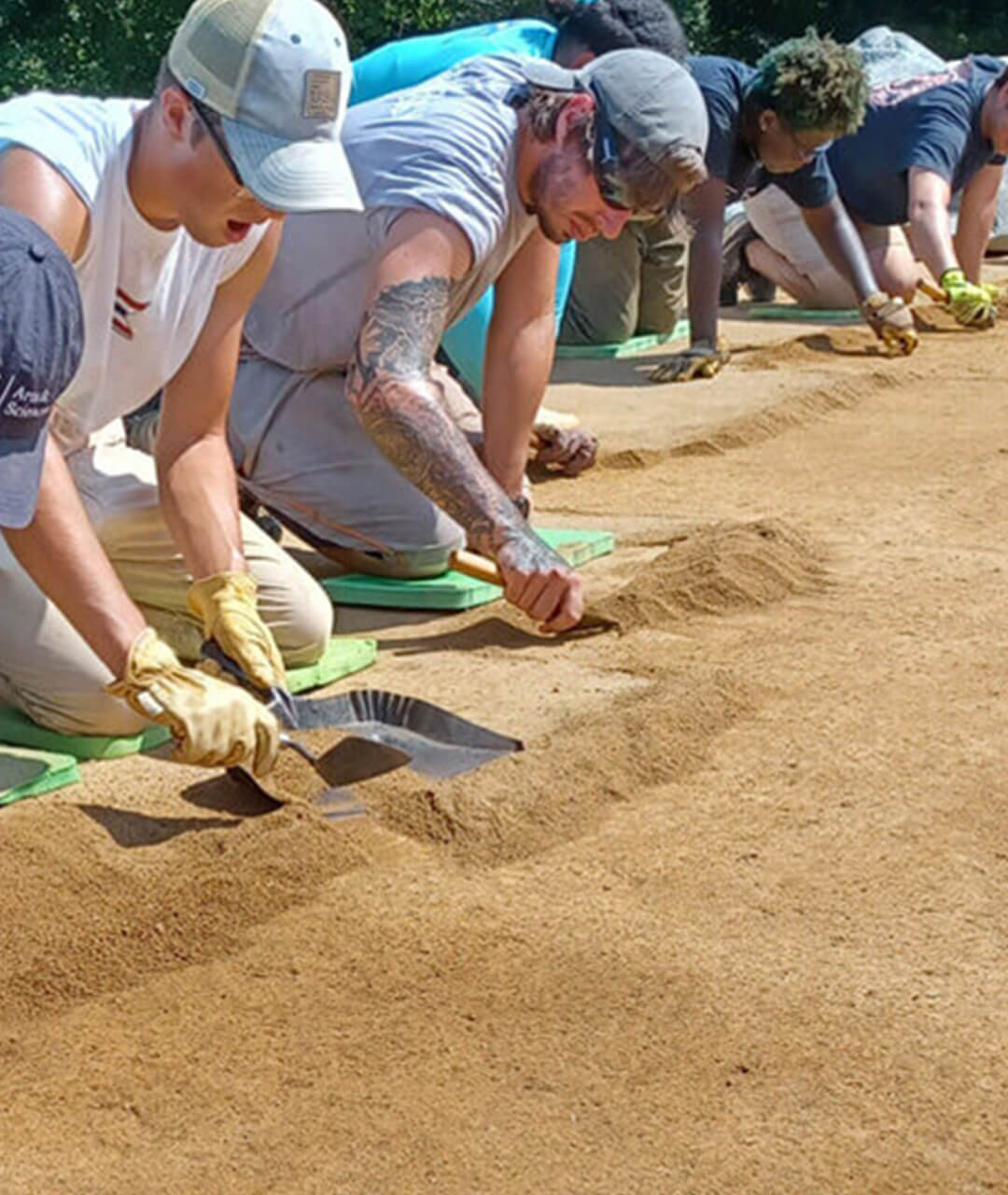 digging for fossils